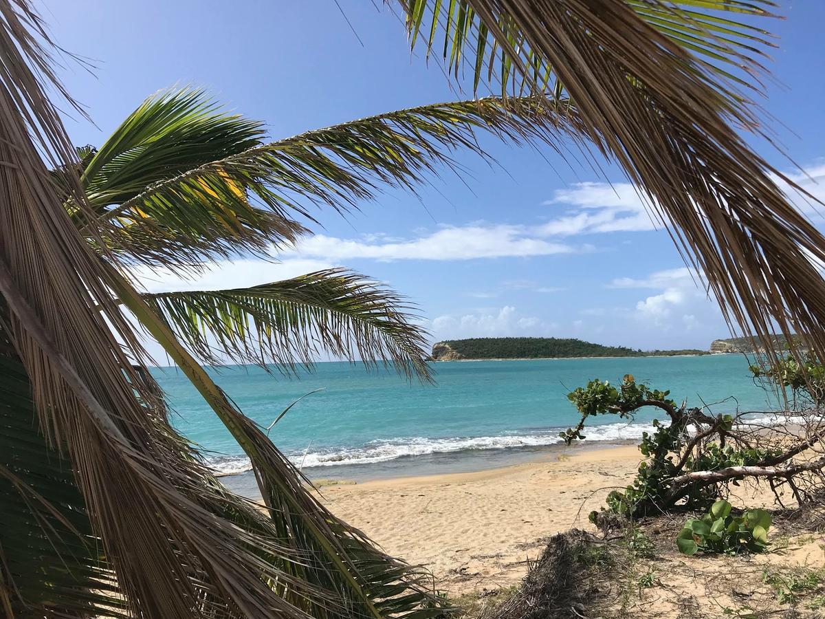 Vieques Good Vibe Guest House Eksteriør billede