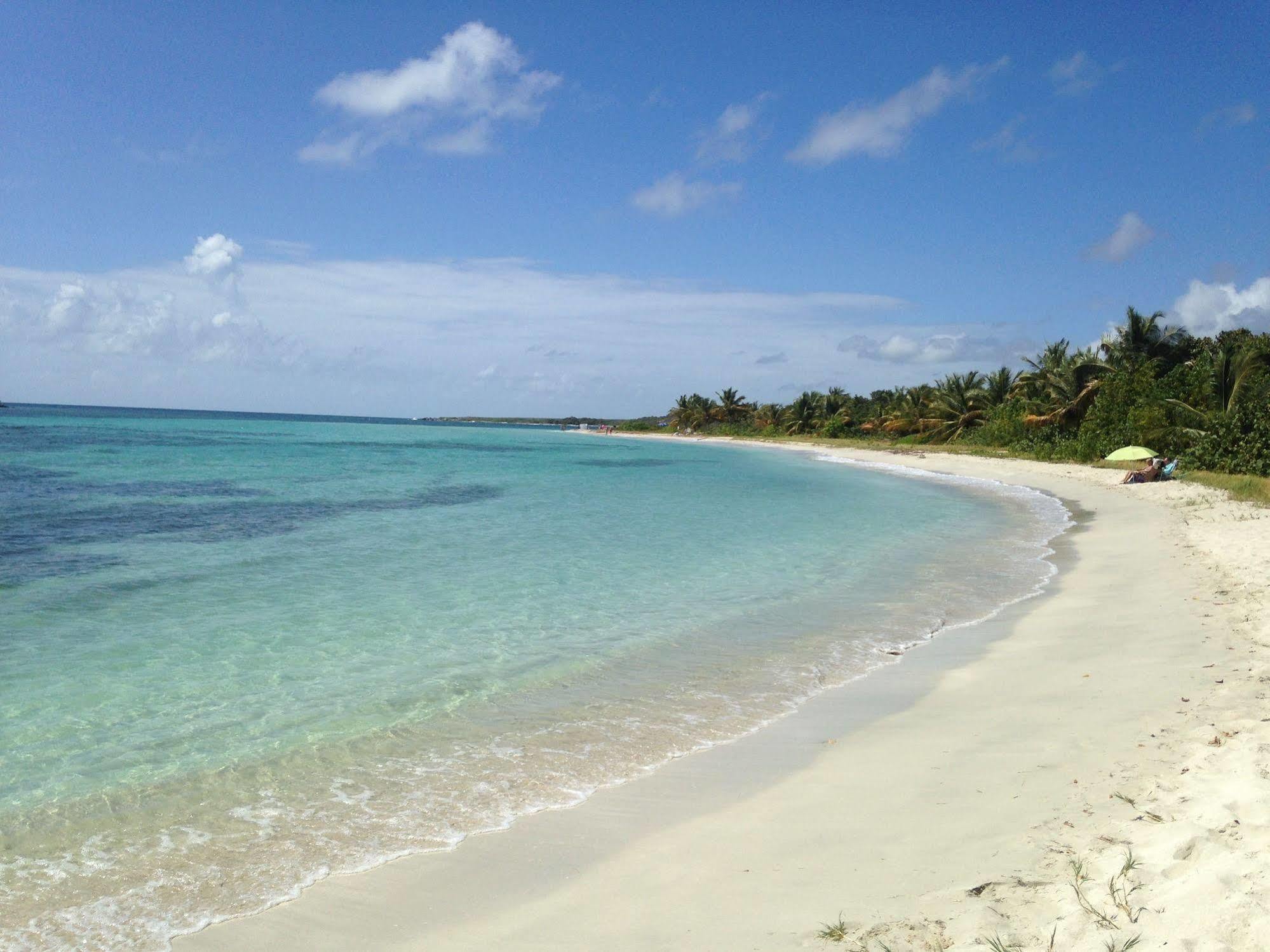 Vieques Good Vibe Guest House Eksteriør billede